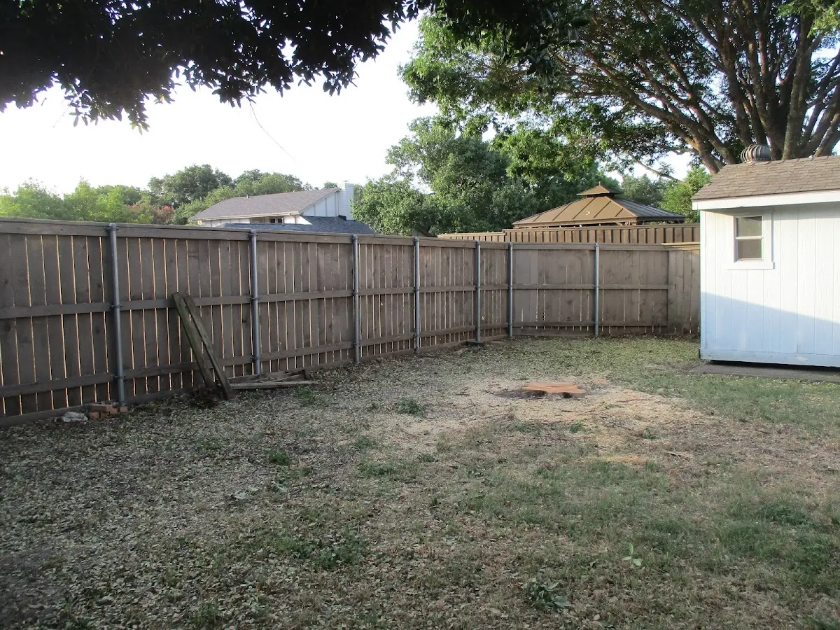 Cleared yard after professional tree removal in Glen Ellyn